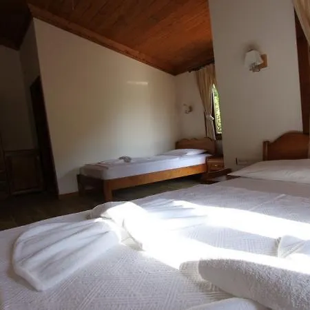 ホテル エリーズ ホーム ダッチャ